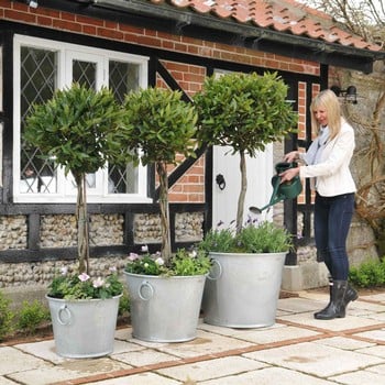 Galvanised Zinc Planters