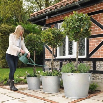 Galvanised Zinc Planters