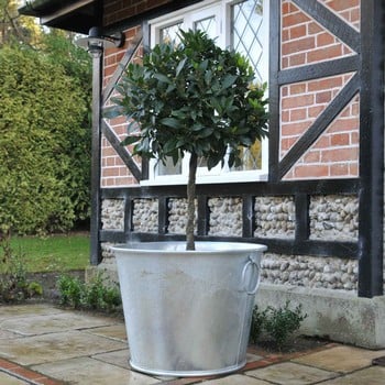 Galvanised Zinc Planters