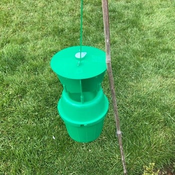 Garden Chafer Beetle Trap Garden Chafer Beetle Trap