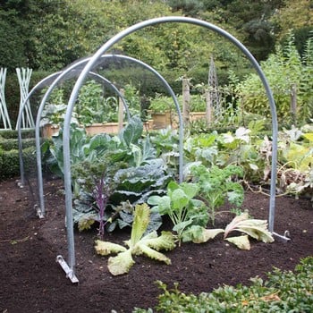 Hoops and Covers - Plant Protection at Harrod Horticultural