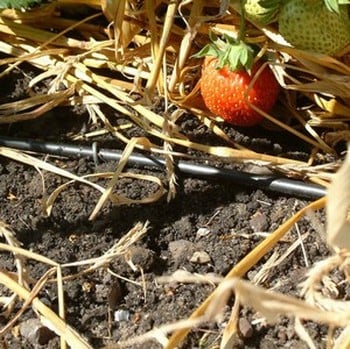 Garden Watering Kit