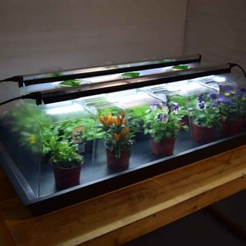 Geopod Heated Propagator with Lights