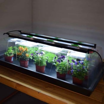 Geopod Heated Propagator with Lights