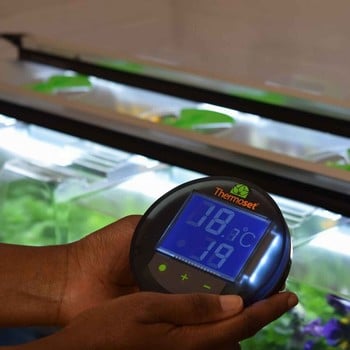 Geopod Heated Propagator with Lights