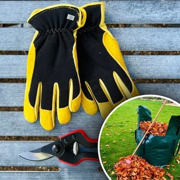 Gloves, Secatuers and Tidy Bag