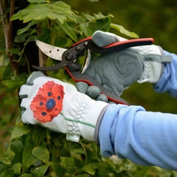 Gold Leaf RHS Collection Ladies Gloves