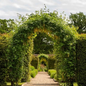 Gothic Garden Arch