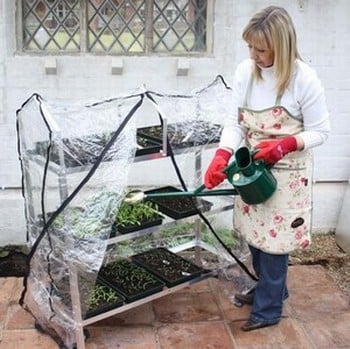 Greenhouse Seed Trays
