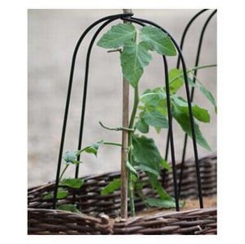 Grow Bag Cane Frames