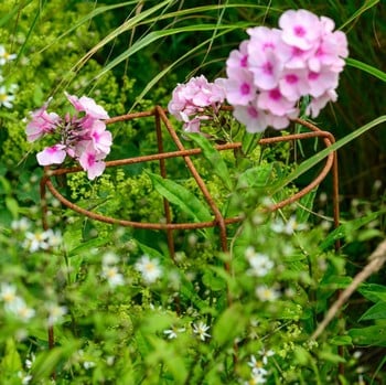 Grow Through Plant Supports