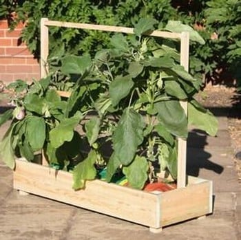 Growbag Trough and Frame Short