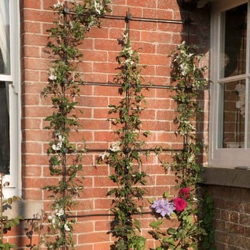 Harrod Build Your Own Trellis