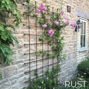 Harrod Decorative Wall Trellis Panels - Straight Trellis