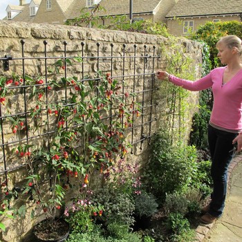 Harrod Decorative Wall Trellis Panels - Straight Trellis Harrod Decorative Wall Trellis Panels - Straight Trellis