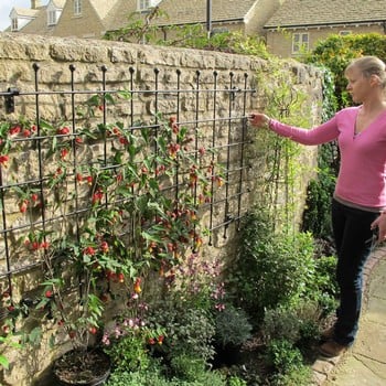 Harrod Decorative Wall Trellis Panels - Straight Trellis Harrod Decorative Wall Trellis Panels - Straight Trellis