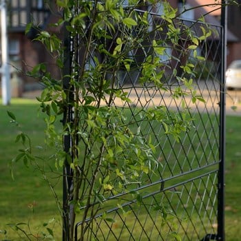 Harrod Ellipse Garden Screens