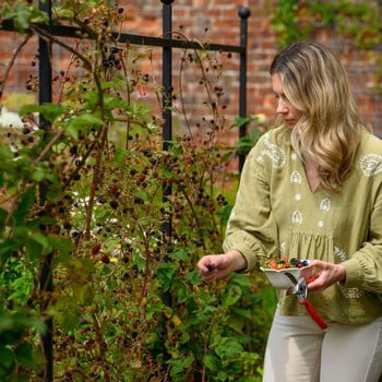 Harrod Espalier Growing Frame