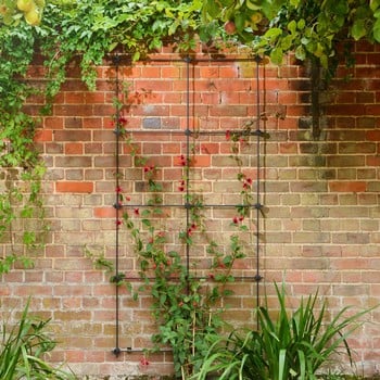 Harrod Node Trellis System Kits