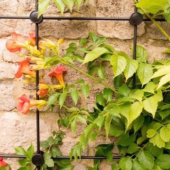 Harrod Node Trellis System Kits