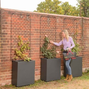 Harrod Rectangle Metal Planters - Anthracite Grey