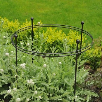 Harrod Short Circular Plant Support - Matt Black