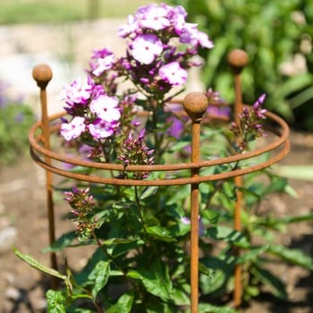 Harrod Short Circular Plant Support - Rust