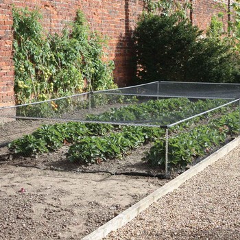 Harrod Slot & Lock® Aluminium Strawberry Cage Harrod Slot & Lock® Aluminium Strawberry Cage