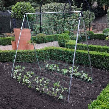 Harrod Slot & Lock® Bean & Pea Frames