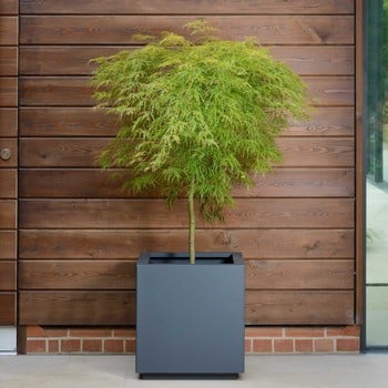 Harrod Square Metal Planters - Anthracite Grey