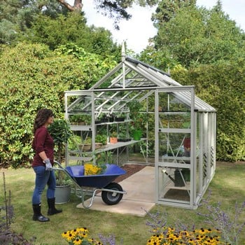 Harrod Superior Greenhouse - Cool Sage