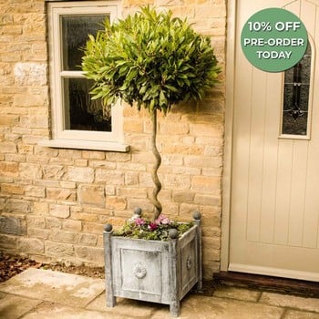 Harrod Traditional Steel Planters