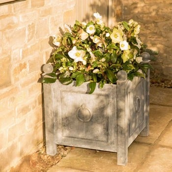 Harrod Traditional Steel Planters