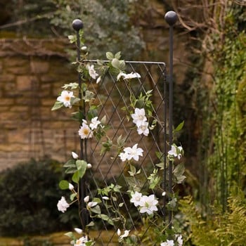 Harrod Trellis Growing Frames 12mm Vintage Wire Posts