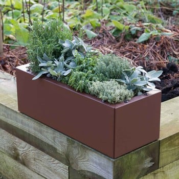 Harrod Trough Metal Planters - Corten Effect