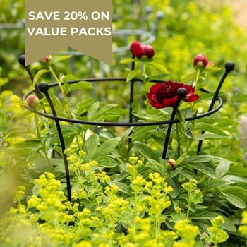 Harrod Trumpet Peony Plant Support - Matt Black Harrod Trumpet Peony Plant Support - Matt Black