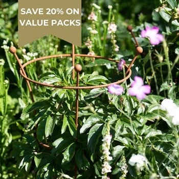 Harrod Trumpet Peony Plant Support - Rust Harrod Trumpet Peony Plant Support - Rust