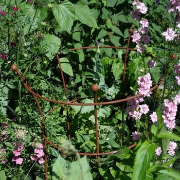 Harrod Trumpet Peony Plant Support - Rust