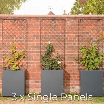 Harrod Wall Trellis Frames