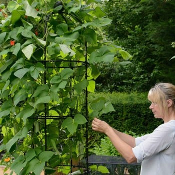 Harrod Wire Bean Columns Harrod Wire Bean Columns