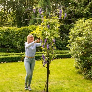 Harrod Wisteria Umbrella Support Frame