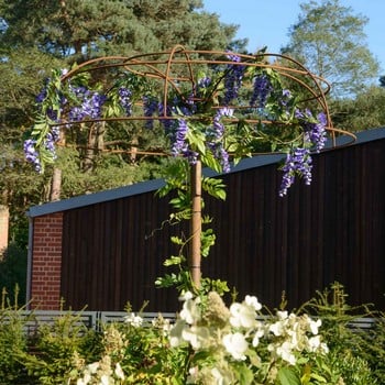 Harrod Wisteria Umbrella Support Frame