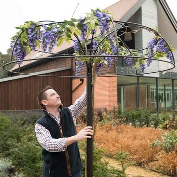 Harrod Wisteria Umbrella Support Frame