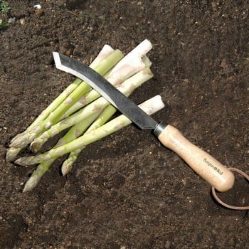 Harvesting and Asparagus Knife