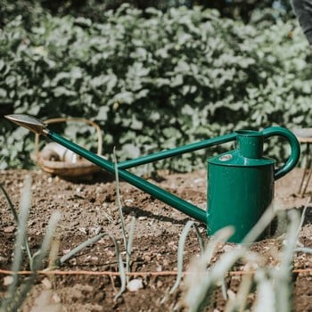 Haws Warley Fall Green Watering Can (9 Litre) Haws Warley Fall Green Watering Can (9 Litre)