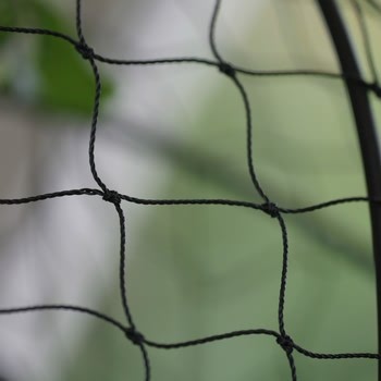 Heavy Duty Pea and Bean Netting Heavy Duty Pea and Bean Netting