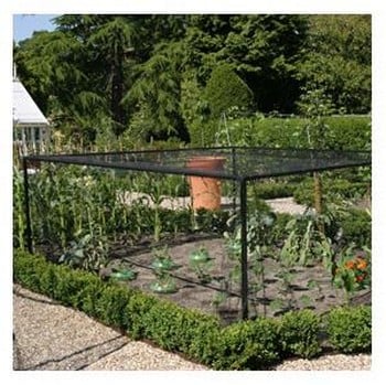 Heavy-Duty Steel Vegetable and Strawberry Cage