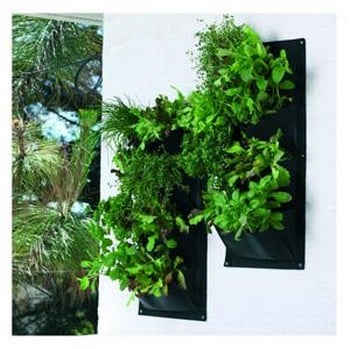 Herb and Salad Vertical Planters