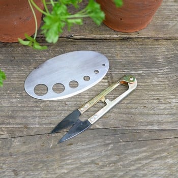 Herby Harvest Set