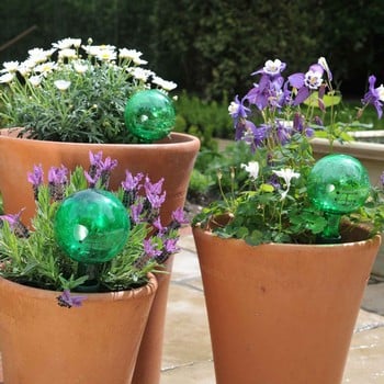 Holiday Watering Kit (Set of 6) Holiday Watering Kit (Set of 6)